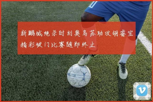 新鹏城绝杀时刻奥乌苏助攻胡睿宝精彩破门比赛随即终止