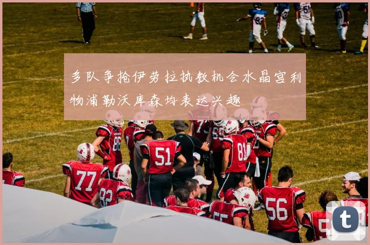 多队争抢伊劳拉执教机会水晶宫利物浦勒沃库森均表达兴趣