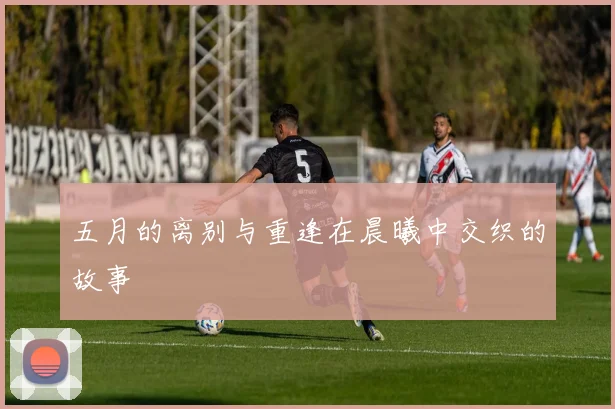 五月的离别与重逢在晨曦中交织的故事